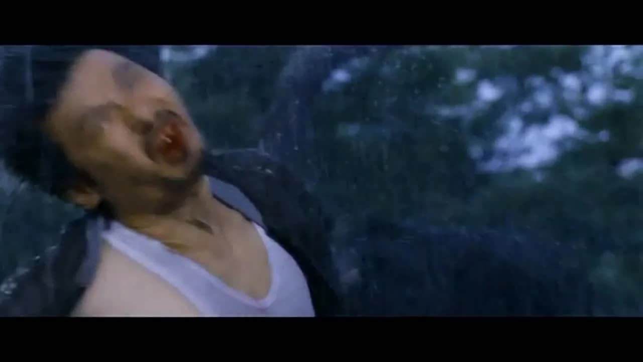 кадр