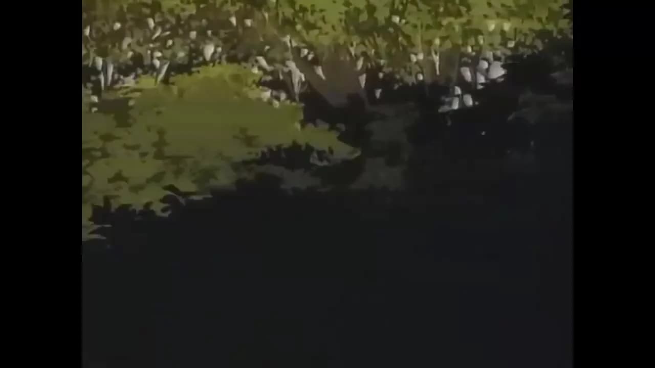 кадр