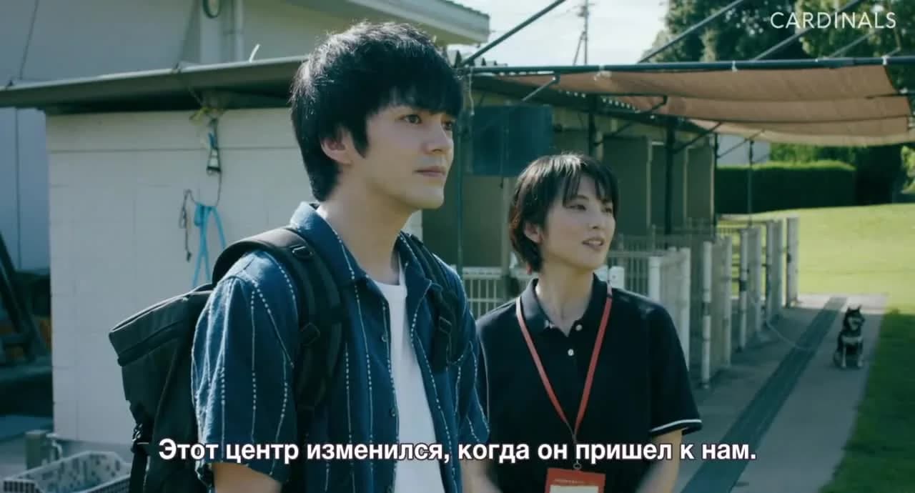 кадр