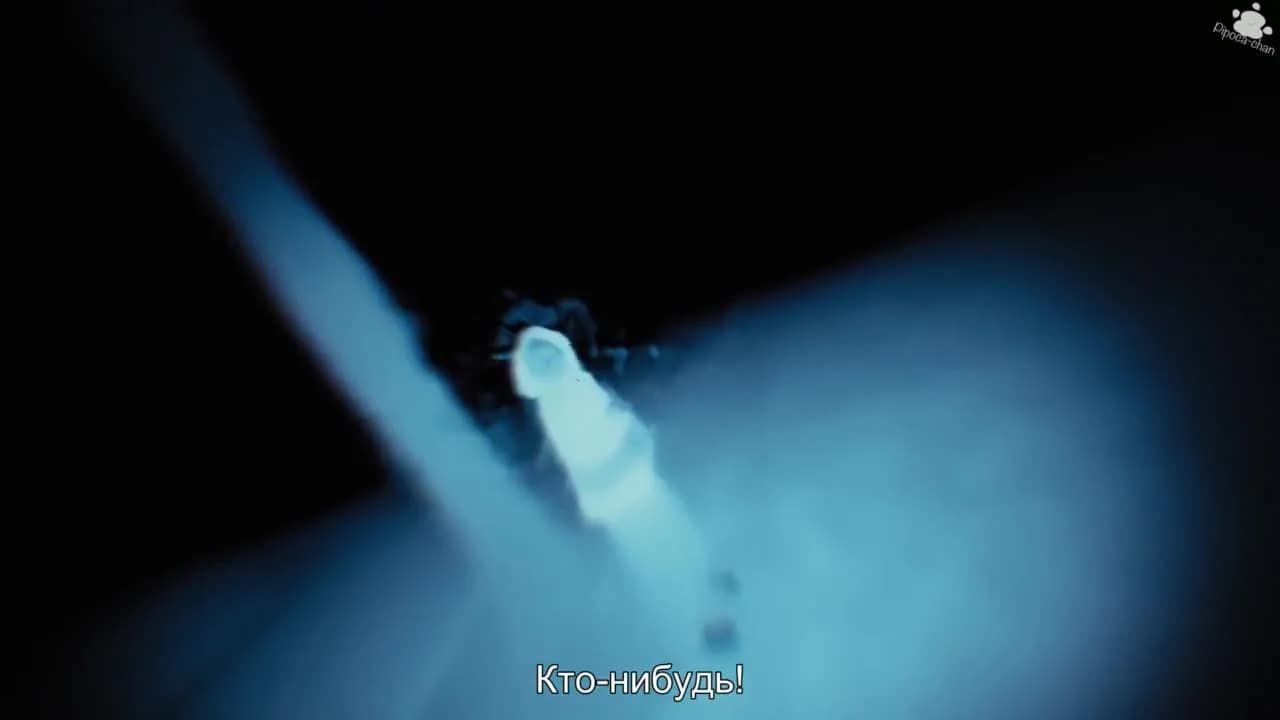 кадр