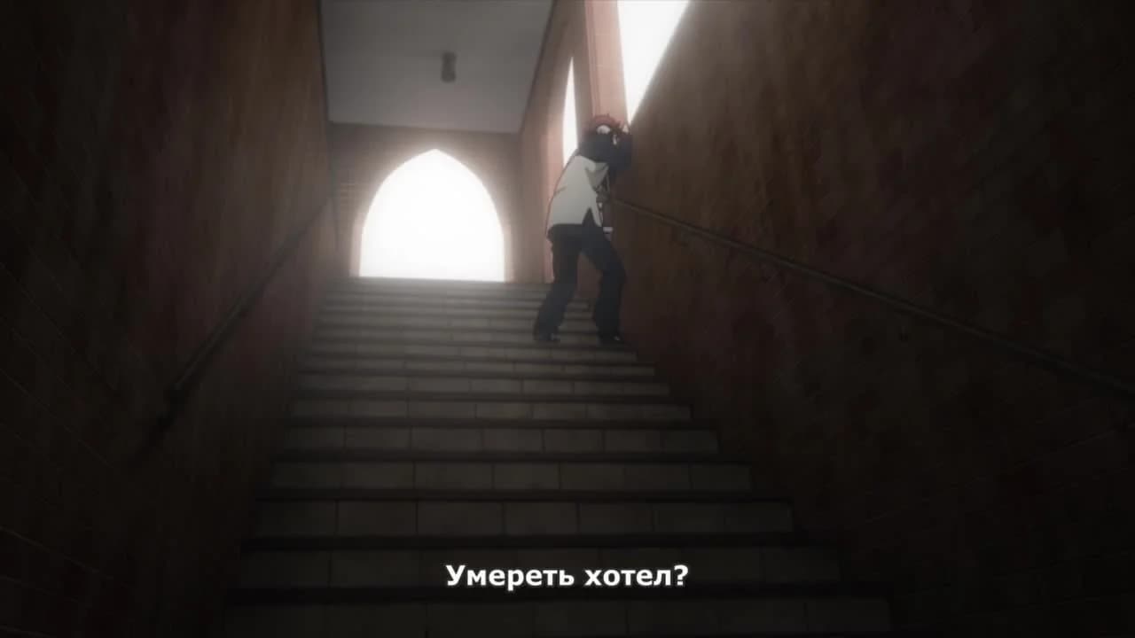 кадр