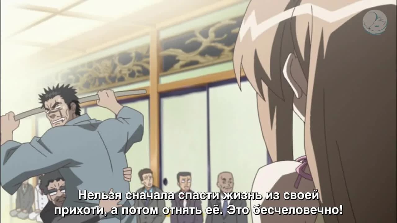 кадр
