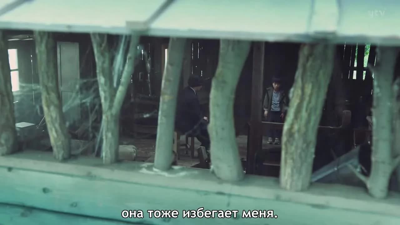 кадр