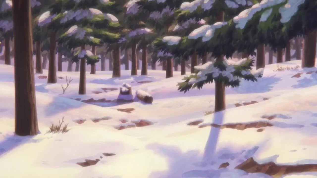 кадр