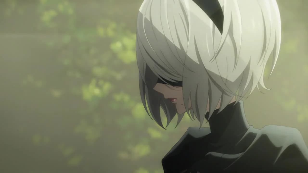 кадр