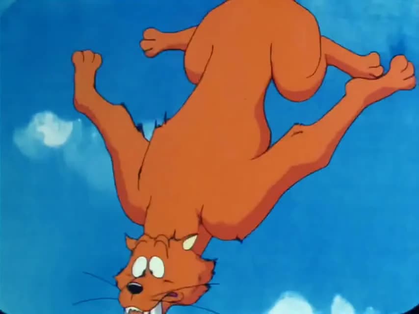кадр