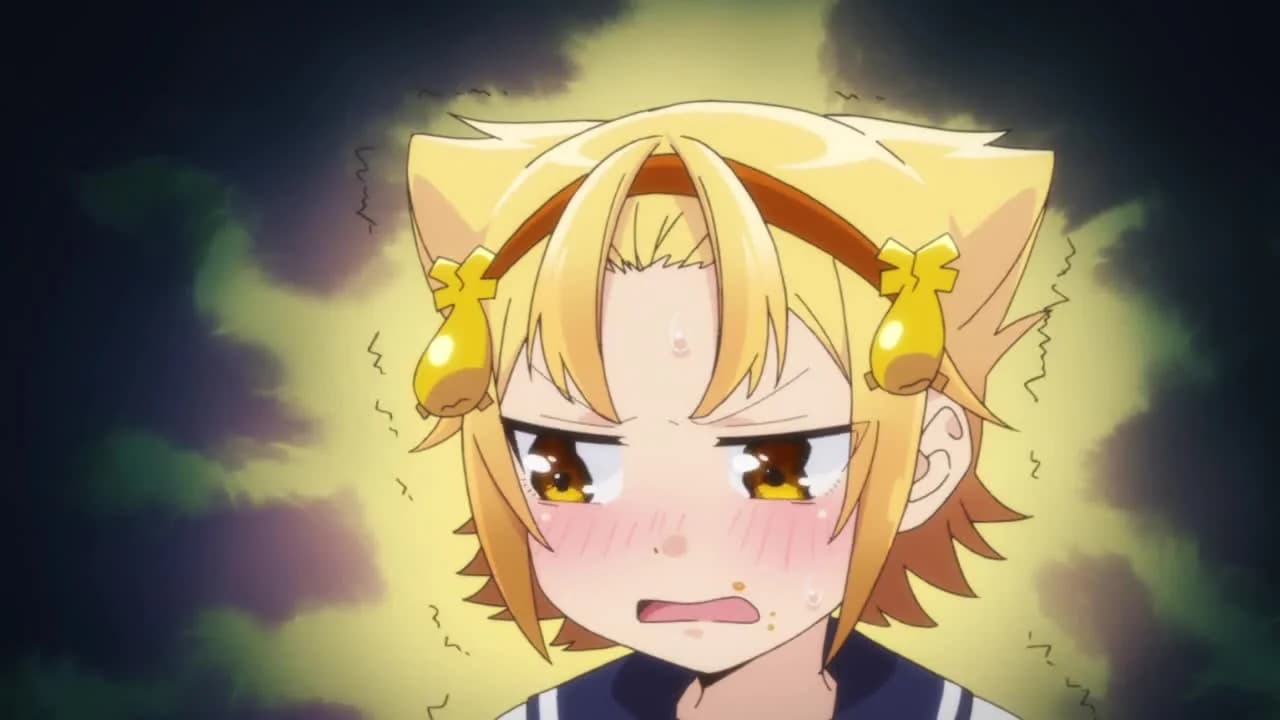 кадр