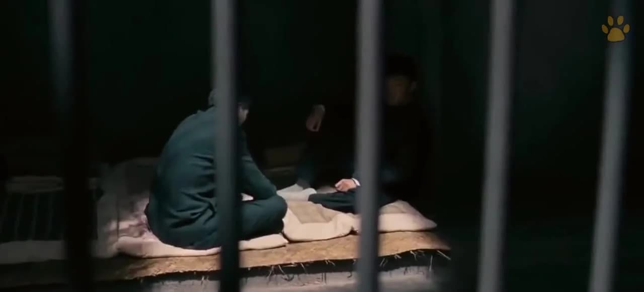 кадр