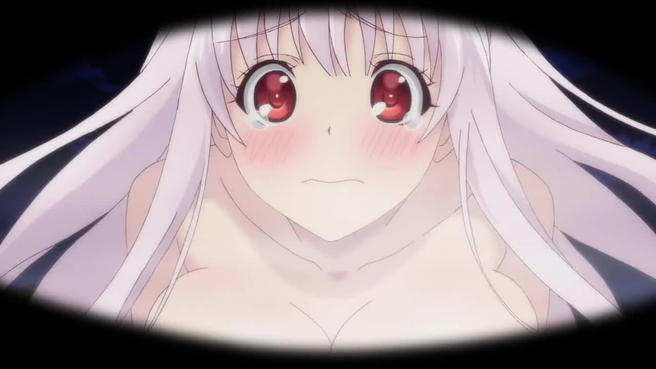 кадр