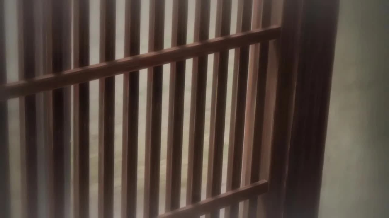 кадр