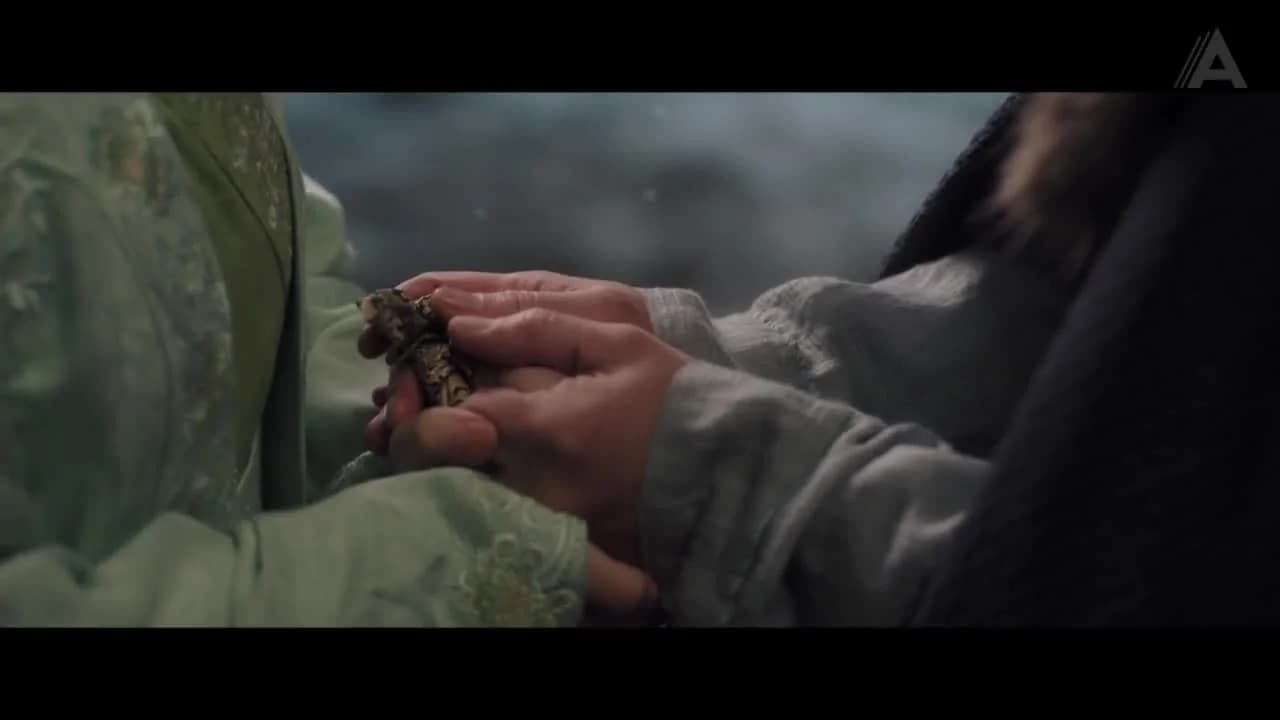кадр