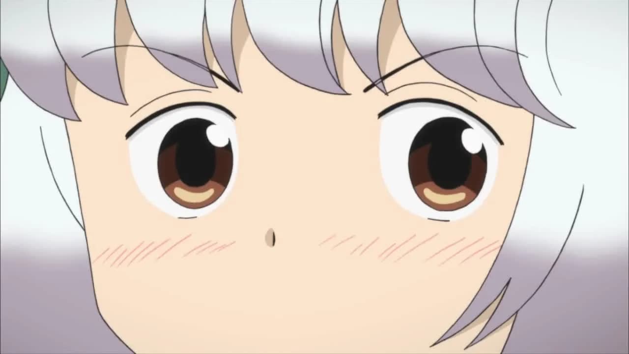кадр