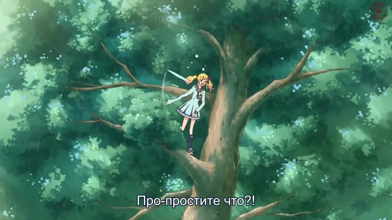 кадр