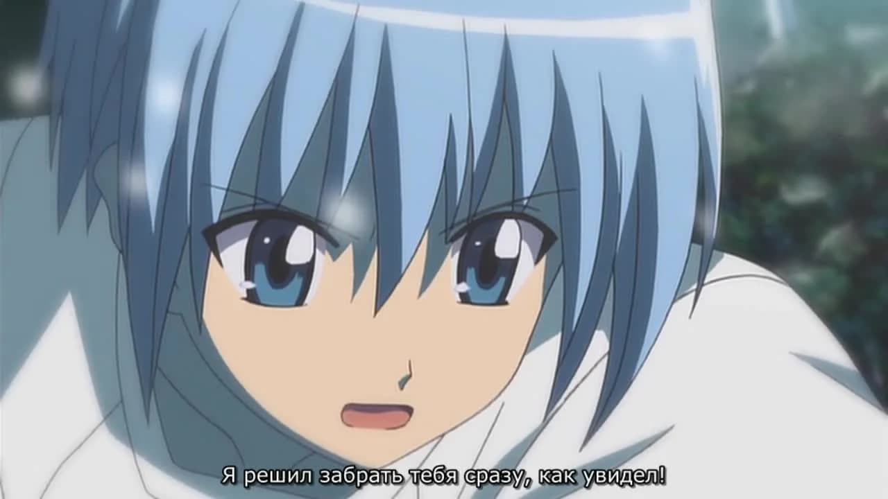 кадр