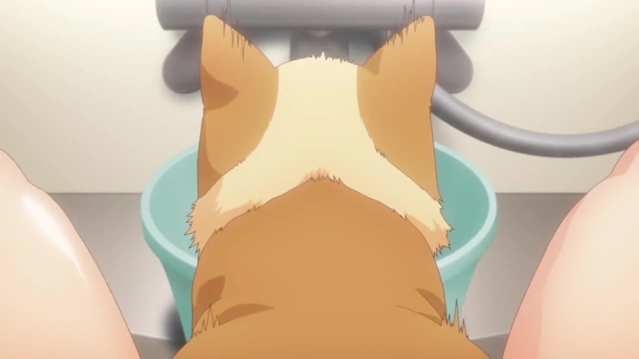 кадр