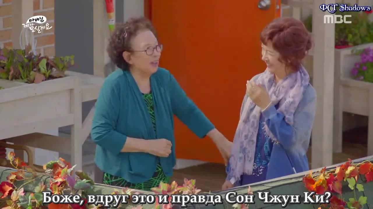 кадр