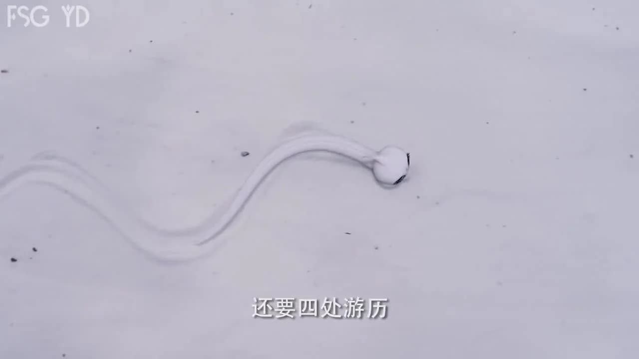 кадр