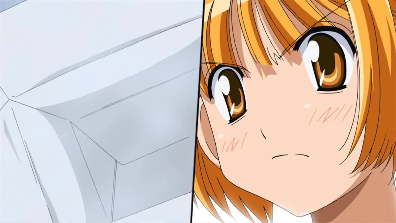 кадр