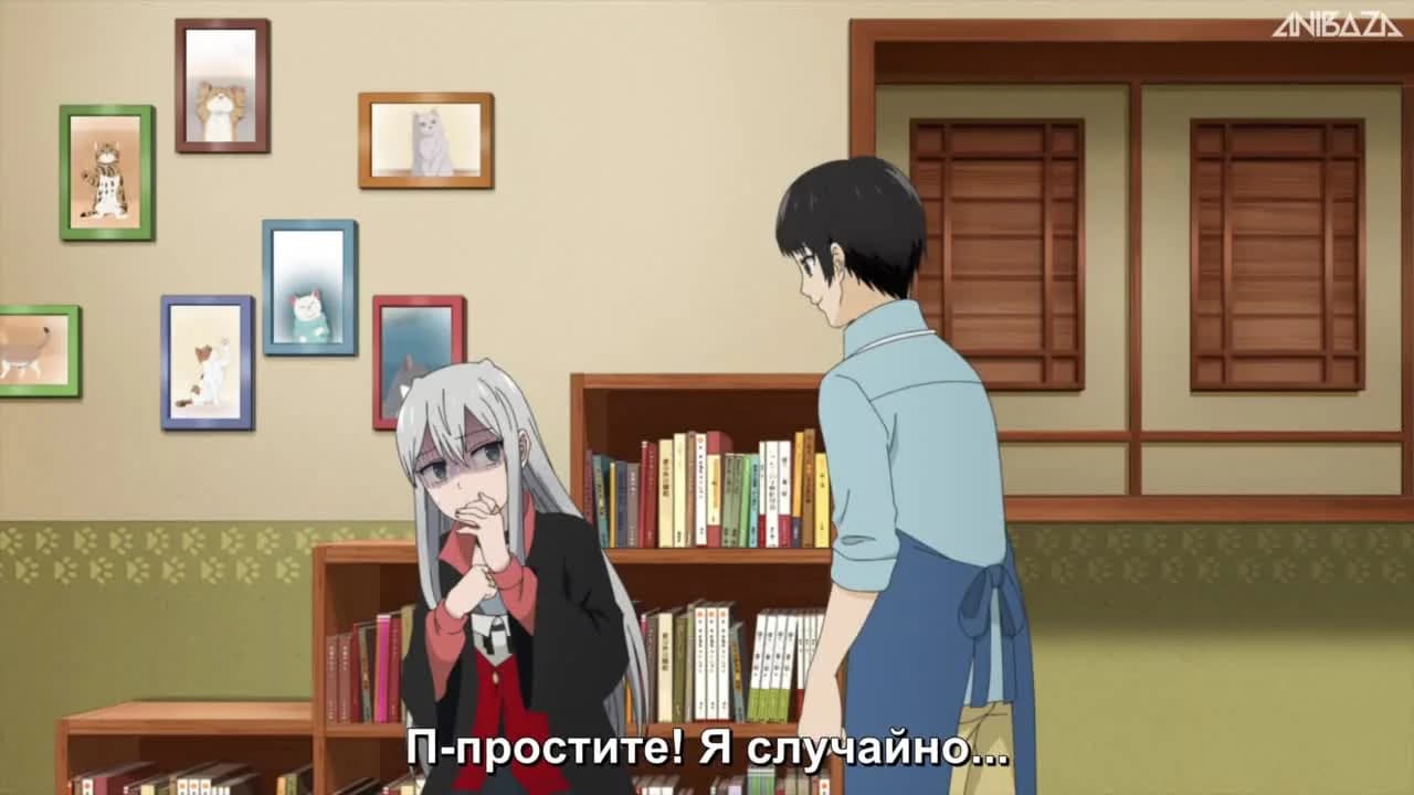 кадр