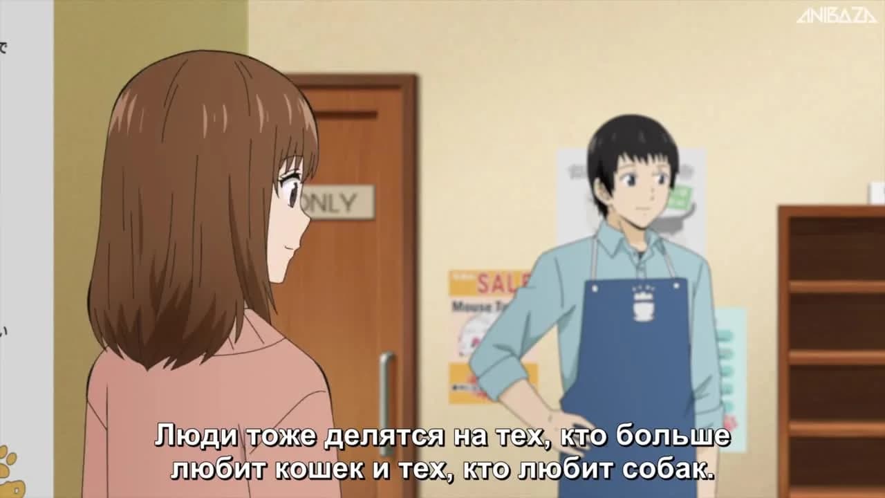 кадр