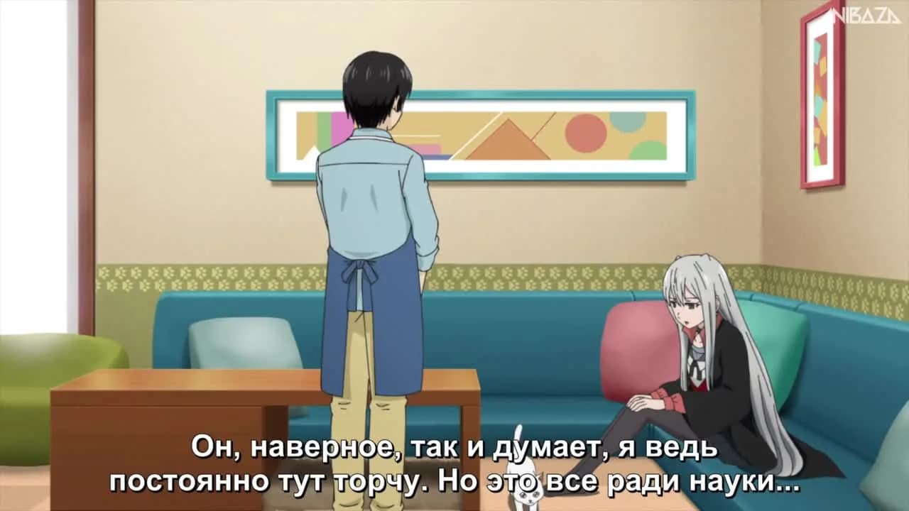 кадр