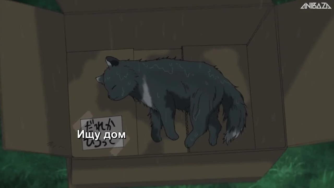 кадр