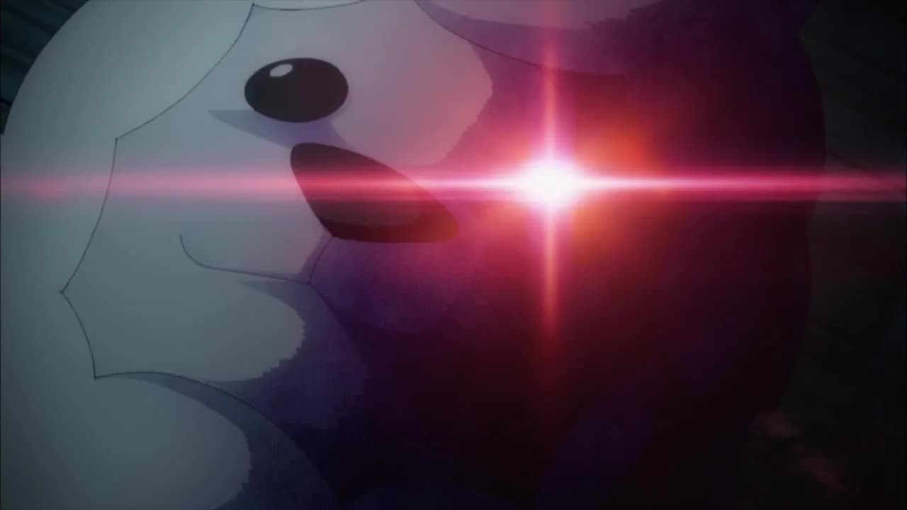 кадр