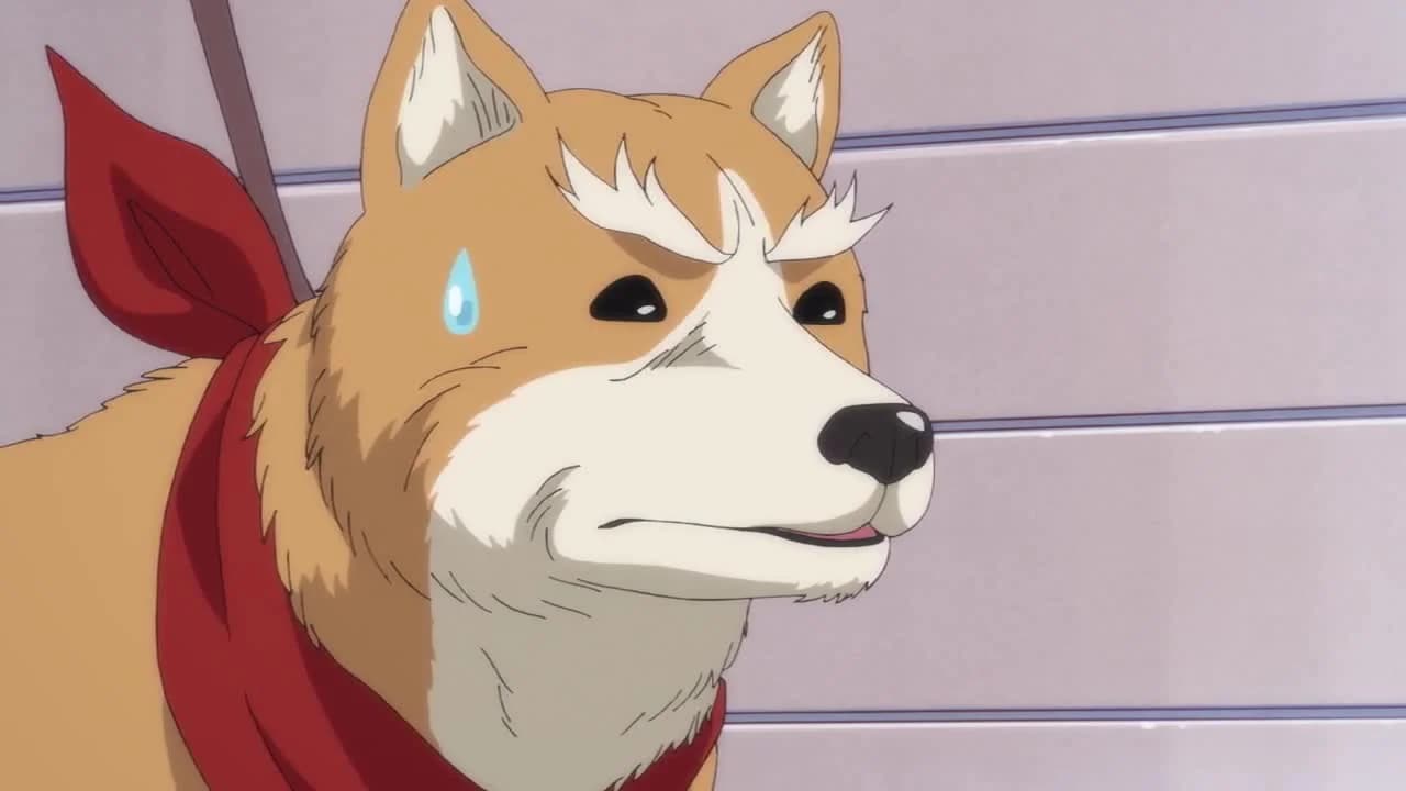 кадр