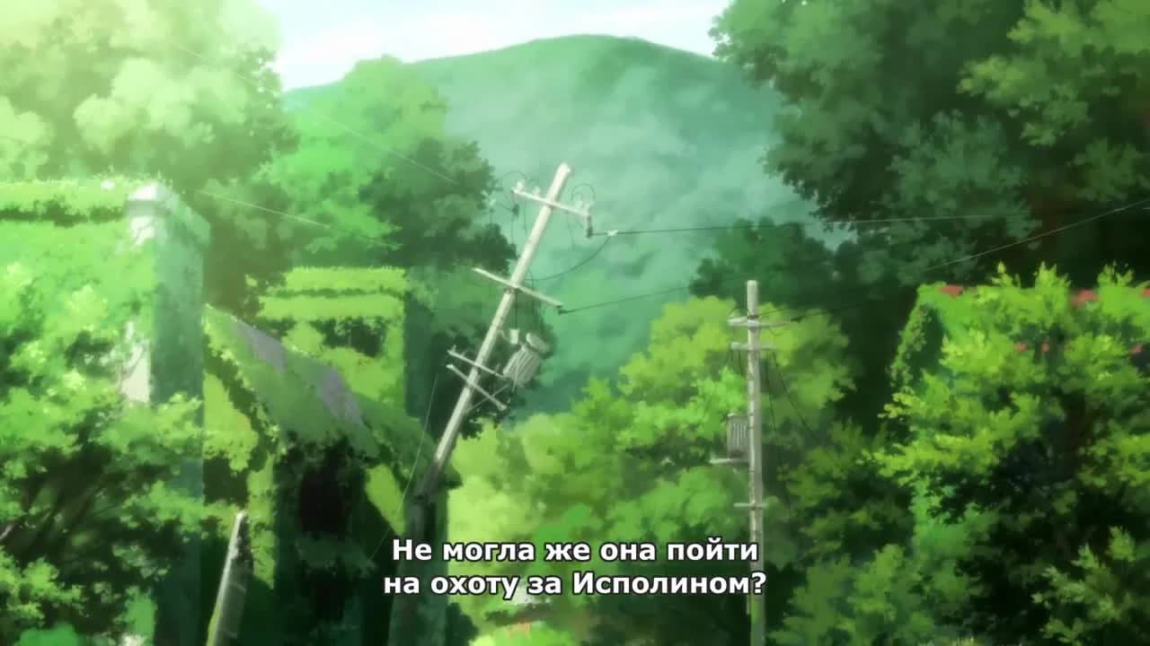 кадр
