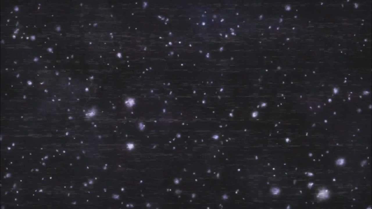 кадр