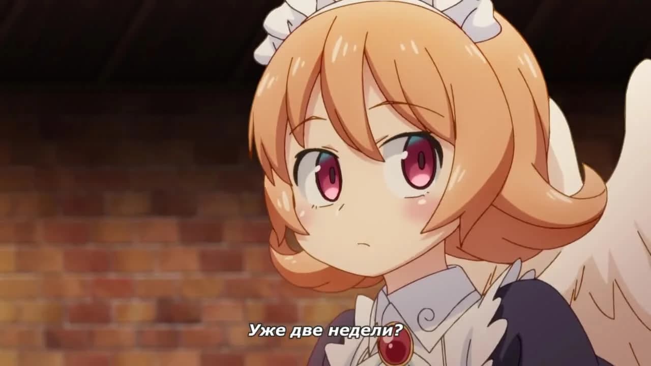 кадр