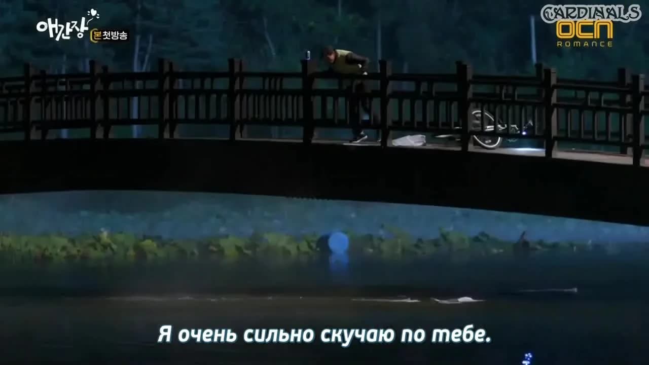 кадр