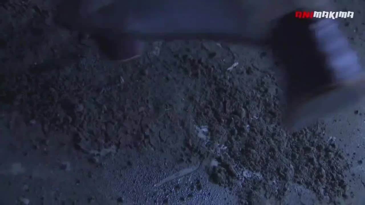 кадр