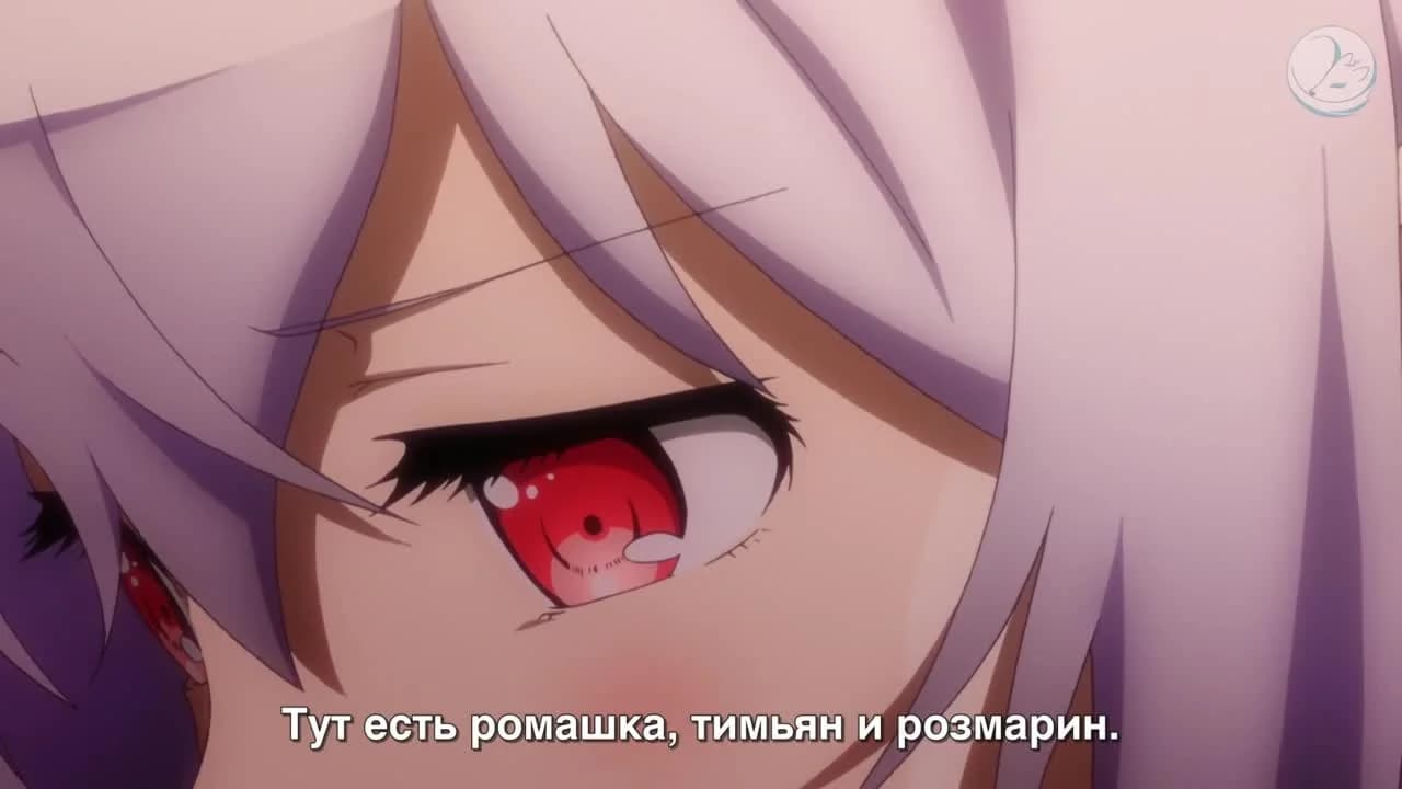 кадр