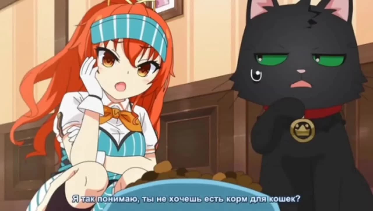 кадр