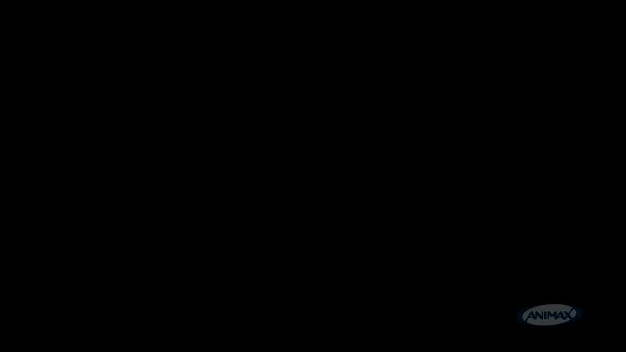 кадр