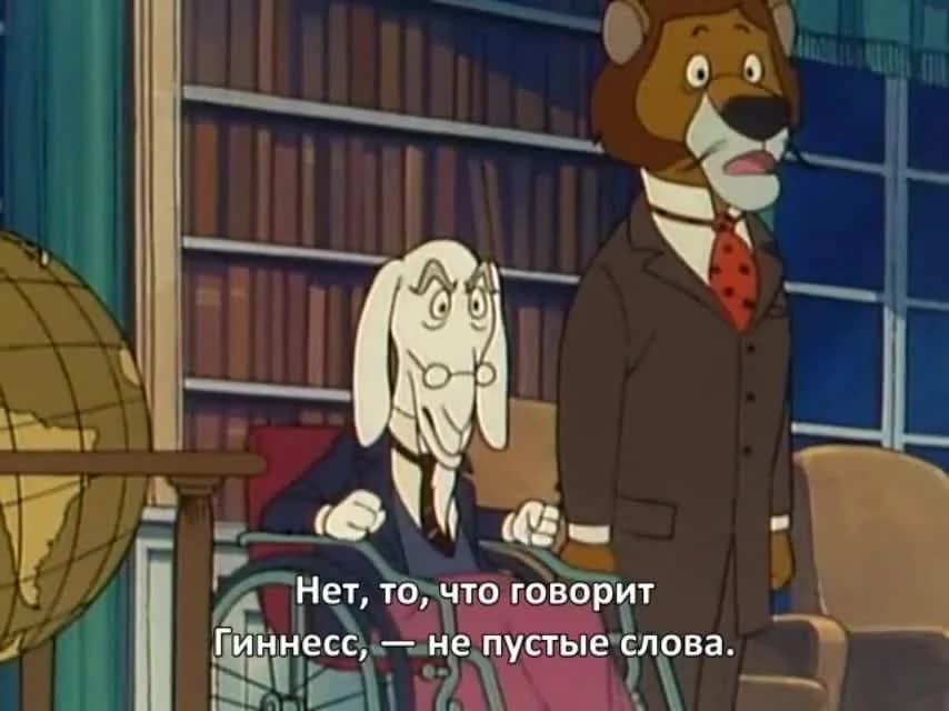 кадр