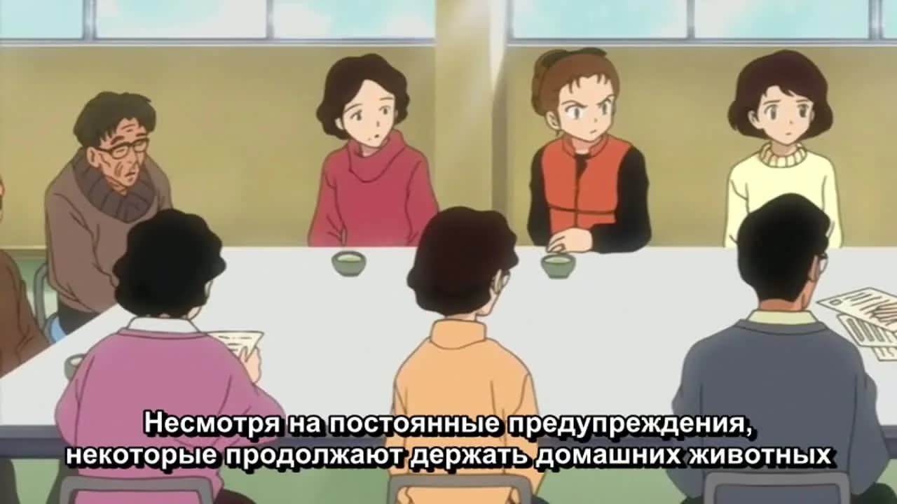 кадр