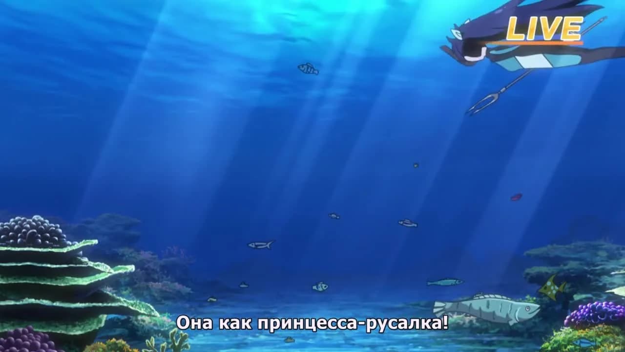 кадр