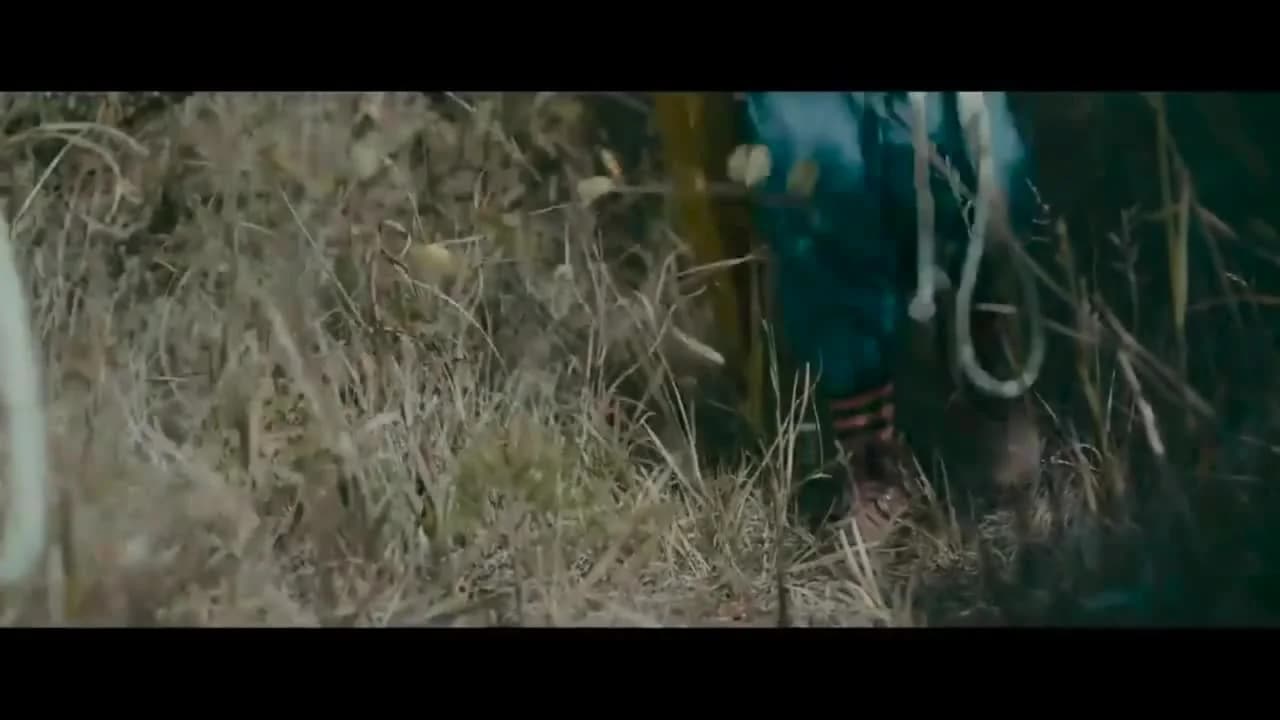 кадр