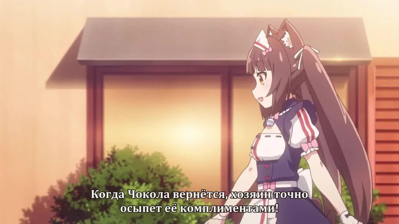 кадр