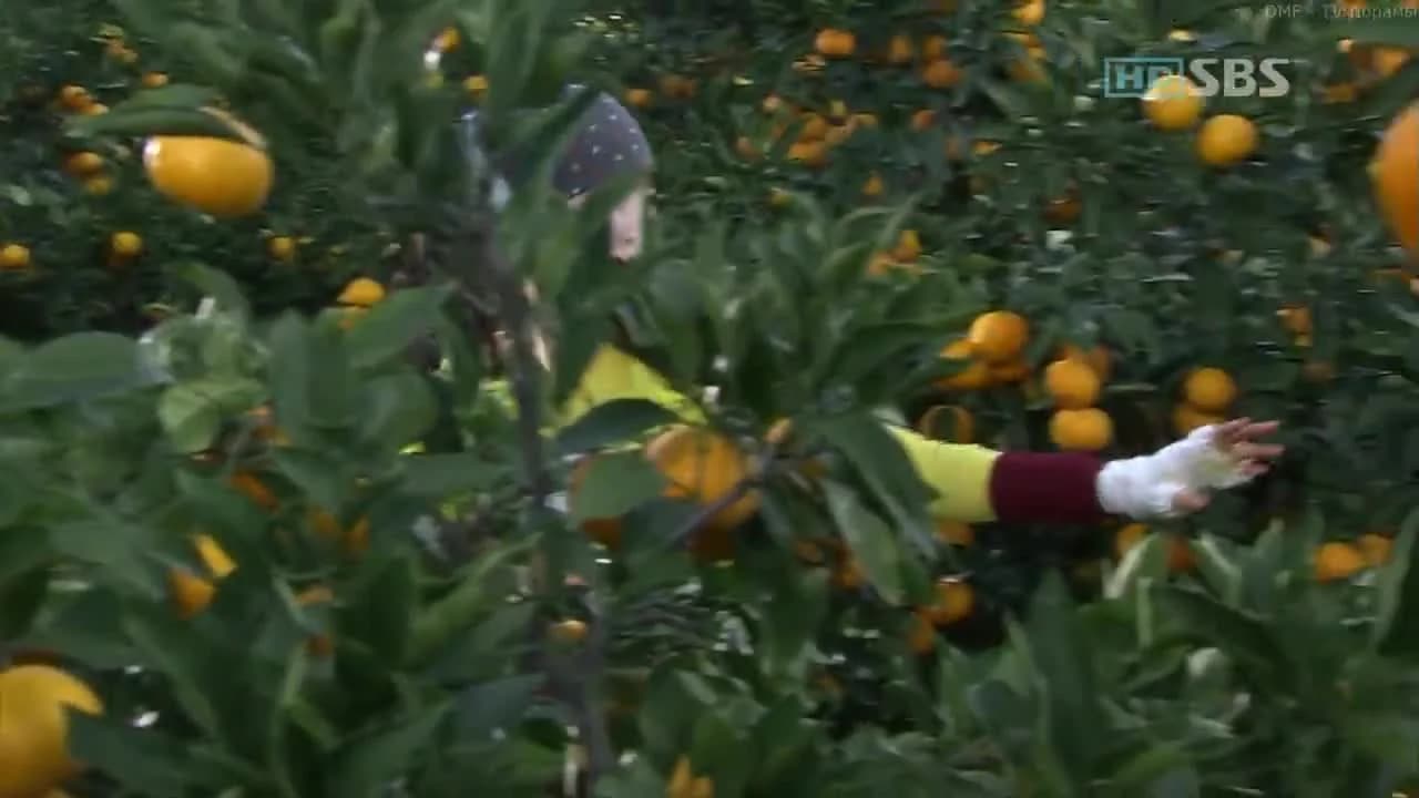кадр