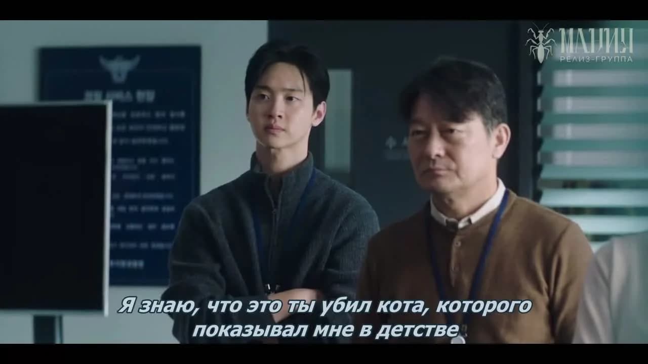 кадр