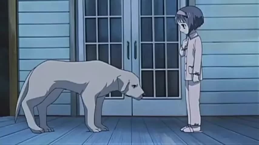 кадр