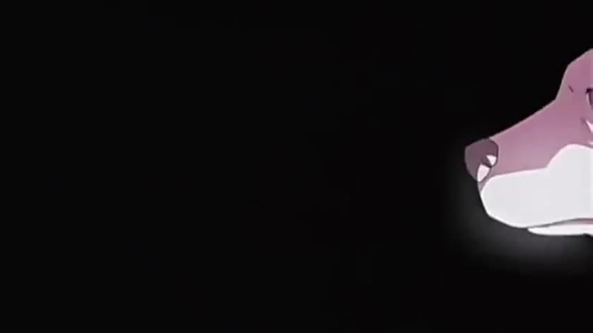 кадр