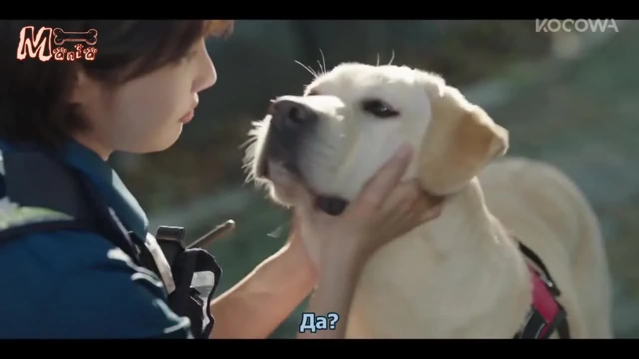 кадр