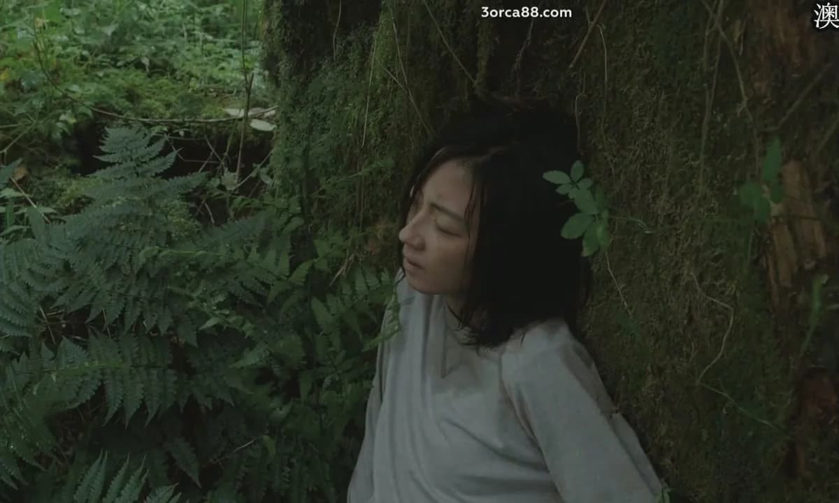 кадр