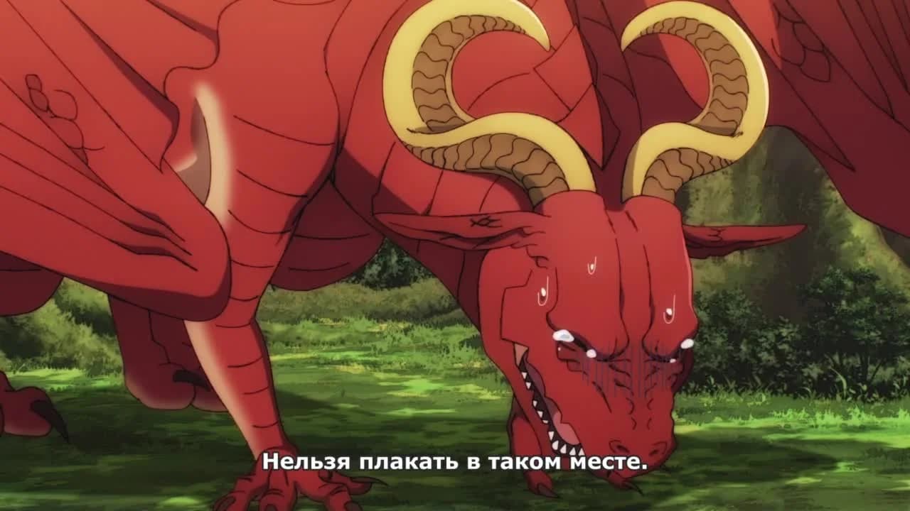 кадр