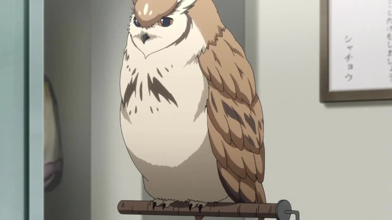 кадр