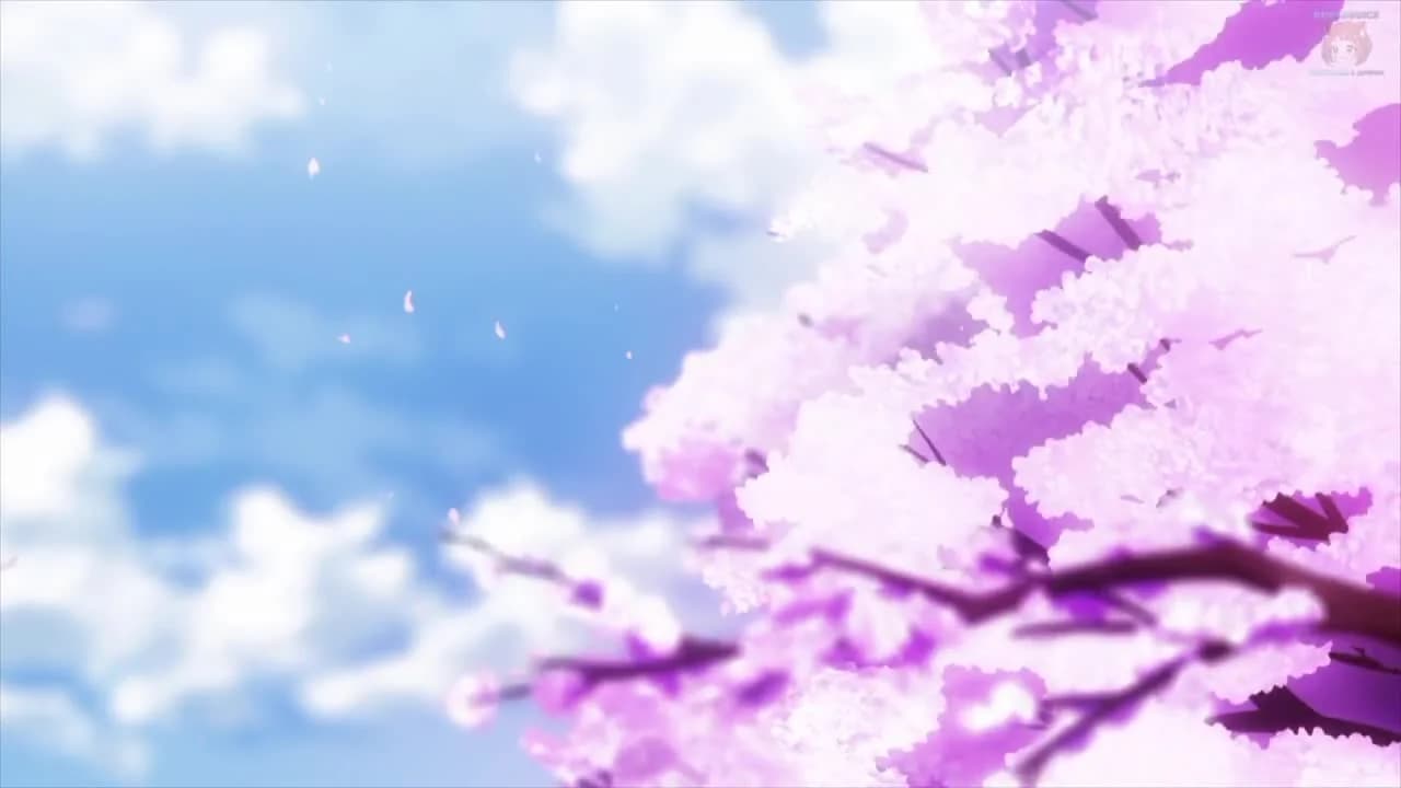 кадр